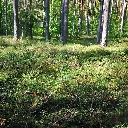 Ihre Auszeit Am * Lychen