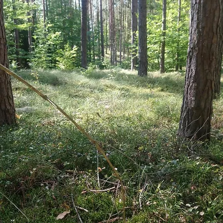 Ihre Auszeit Am *