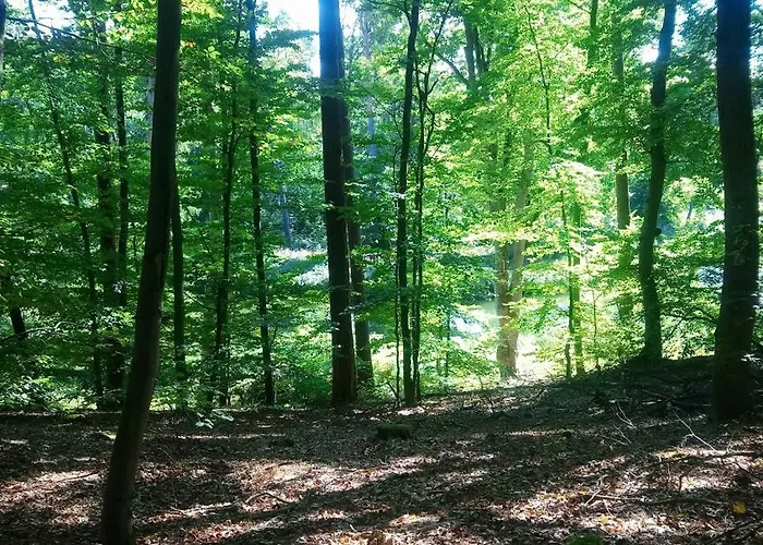 Βίλα Ihre Auszeit Am Lychen