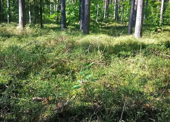 Ihre Auszeit Am * リヘン